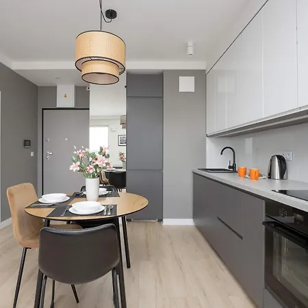 公寓 Swiatowida Modern With Balcony & Parking In By Renters 华沙
