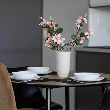 Swiatowida Modern With Balcony & Parking In By Renters 公寓 *