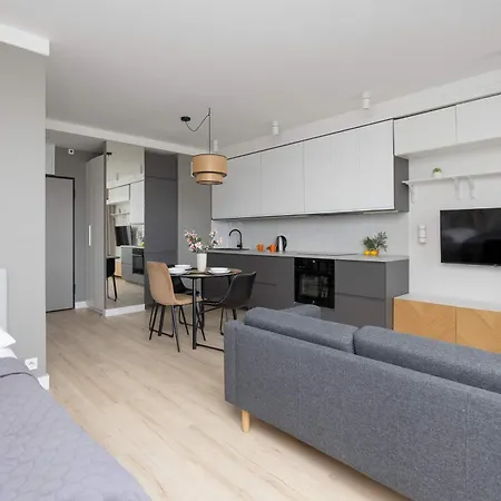 公寓 Swiatowida Modern With Balcony & Parking In By Renters 华沙